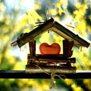 𝙖𝙡𝙖𝙘𝙝𝙞𝙜𝙝 𝙙𝙤𝙨𝙩𝙖𝙣