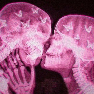 𝗙 𝗘 𝗡 𝗭 𝗔 | Gap #𝟠𝟘