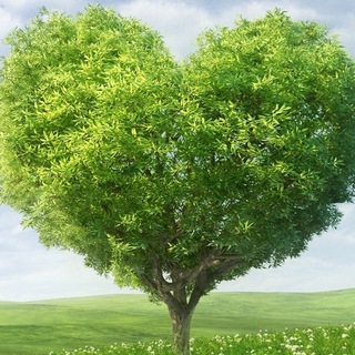 🦋همدلی وهمنوایی🦋