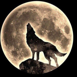 •┈•✿تورک گپ✿•┈•