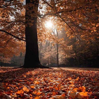 ☀️🌤سرزمین خورشید🌤☀️