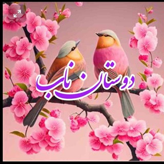 ◦•●◉✿ دوستان ناااب ✿◉●•◦