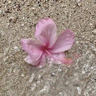 .ʙʀᴜᴀɴᴛ🫧