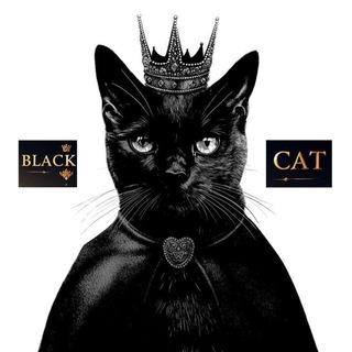 🐈‍⬛.𝑩𝑳𝑨𝑪𝑲 𓃠𝑪𝑨𝑻.🐈‍⬛