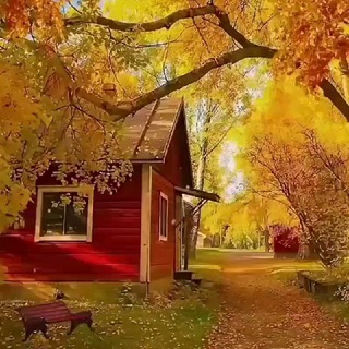 🍁کلبه پاییزی🍁