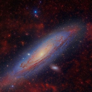 ༒︎ ༒︎𝕌ℕ𝕀𝕍𝔼ℝ𝕊𝔼 ༒︎ ༒︎