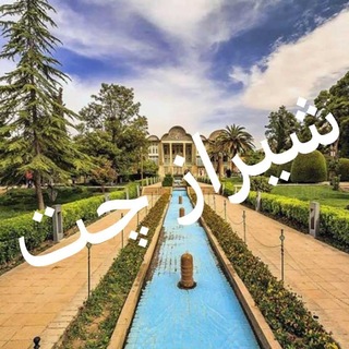 ✨گروه چت شیرازی ها✨