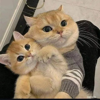 ♨🥤۩ܩࡅ࡙ࡅ߳ࡅ࡙ࡅ߭ܭَ ࡅ߭ࡐ‌ܢܚ݅ߊ‌ܢ̣ߊ۩🥤♨