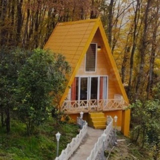 ❤️ְְکְְ֞لְְ֞بְְ֞هְְ֞ ְְ֞دְְ֞نְְ֞ج֞❤️