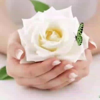 𖠄⃘ྂ⃗⃖⃟🦋𝒘𝒉𝒊𝒕𝒆𝒓𝒐𝒔𝒆‌᭄