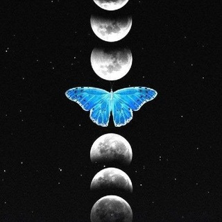 .•♫•♬•🪽ℛ𝒾𝓀𝒷🩸 •♬•♫•.