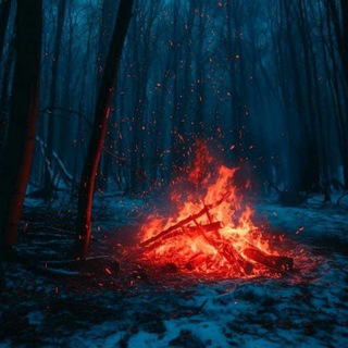 ❤🫀حـکـم دل اسـت🫀