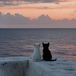 💖💞Love💞💖