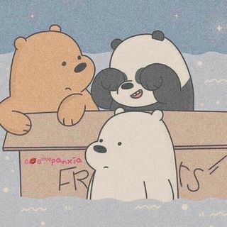 𝑺𝒉𝒊𝒓𝒂𝒛 𝑮𝒂𝒑