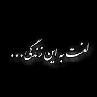 🍒◑ًًً𝐂𝐥𝐨𝐬𝐞 𝐅𝐫𝐞𝐢𝐧𝐝𝐬🏴‍☠️