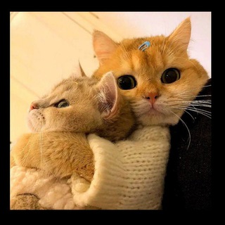 ♨🥤۩ܩࡅ࡙ࡅ߳ࡅ࡙ࡅ߭ܭَ ࡅ߭ࡐ‌ܢܚ݅ߊ‌ܢ̣ߊ۩🥤♨