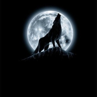 ༺Zanjan Wolves Chat༻