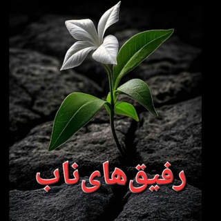 ‌‌رفــیــق هاے نــاب ⸙ꠋꠋꠋꠋꠋꠋꠋꠋꠋꠋꠋꠋꠋꠋꠋꠋꠋꠋꠋꠋꠋꠋ☾︎⃝ 𓆃