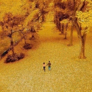 🍀❤️کاروان عشق❤️ 🍀