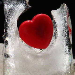 🤍قلب یخی🤍