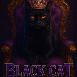 🐈‍⬛.𝑩𝑳𝑨𝑪𝑲 𓃠𝑪𝑨𝑻.🐈‍⬛