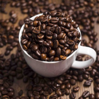 مغرور های جذاب