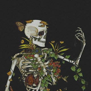 𓄂ꪴꪰ𝐀𝐒𝐇𝐈𝐘𝐀𝐍𝐄𓆃