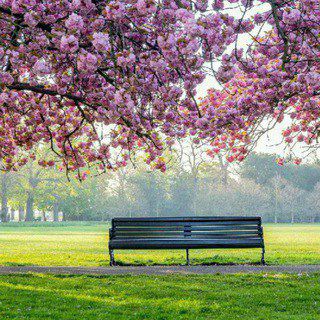 نیـــــ 🌱 ـــــمـــــ 🌱 ـــــکت تابستانی