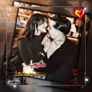 گروپ چت پرندگان شاهین