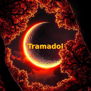 🌎⁷⁸⁶𝐂𝐚𝐟é🌶️𝐓𝐫𝐚ᴳᵒ☂️