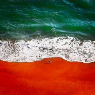 💗مجمع الرفقا💗