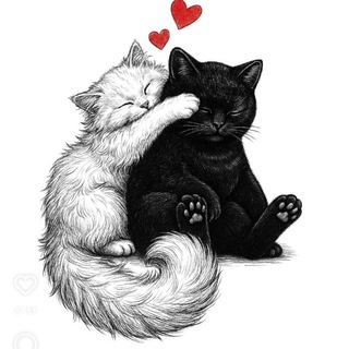 🖤⃝⃭𝄞 𝐁𝐋𝐀𝐂𝐊&amp;𝐖𝐇𝐈𝐓𝐄 ᬼ⃝⃭🤍