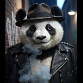 🐼Panda🐼