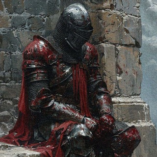 ✨️ꨄ︎ Vinlandシ︎🍷