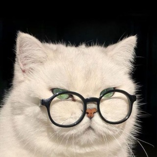 𝑺𝒕𝒓𝒂𝒏𝒈𝒆𝒓𝒔