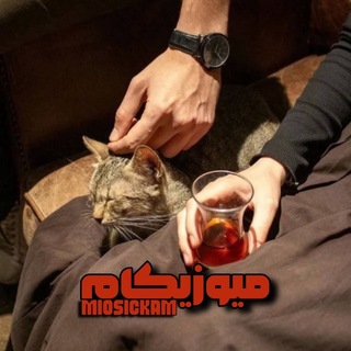 میوزیکام| 𝙈𝙞𝙤𝙨𝙞𝙘𝙠𝙖𝙢