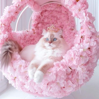 ♨🥤۩ܩࡅ࡙ࡅ߳ࡅ࡙ࡅ߭ܭَ ࡅ߭ࡐ‌ܢܚ݅ߊ‌ܢ̣ߊ۩🥤♨