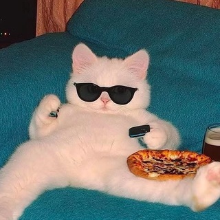 جزیره تفریحی پیشی ها