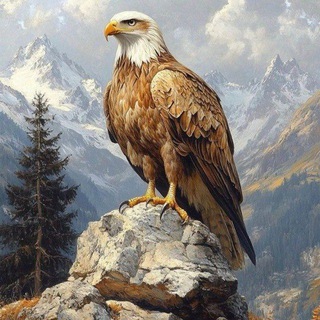 💘🌸🦅قٌٌلٌٌمٌٌرٌٌوٌٌ❤️عٌٌقٌٌاٌٌبٌٌهٌٌاٌٌ🦅💘🌸