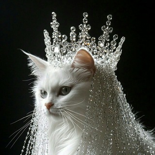 قصر اسرارآمیز