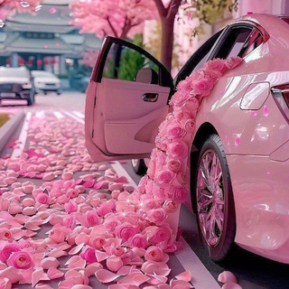 لاکـچـریاے طهرون/ایــرون🩷🩷