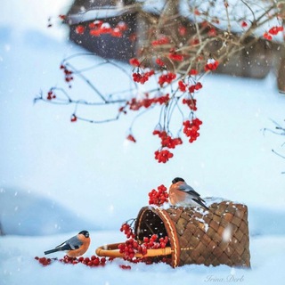 👒بهترینهای اصفهان🎩