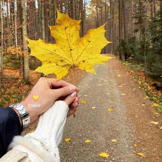 🤍🕛Ᏸꫀの๑ꪀꪑꪖᖇຊ🕛🤍