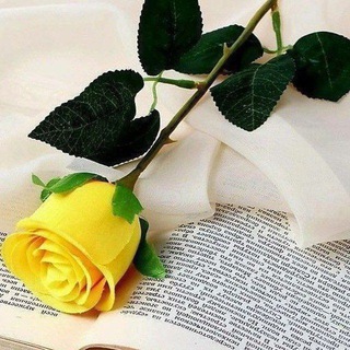 🌹🌹بوی خوش زندگی🌷🌷