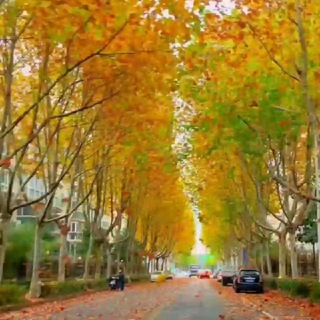 🌼🌼♫♬♪ݢلبهـ♩♭♪دۅرهـمۭی♩♭♪🌼🌼