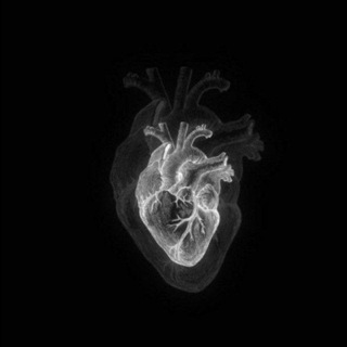 𝑩𝑳𝒂𝒄𝒌.𝑯𝒆𝒂𝒓𝒕🖤