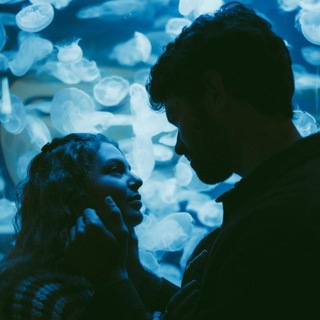 𝗚𝗢𝗟𝗗𝗘𝗡 𝗣𝗟𝗔𝗡𝗘𝗧