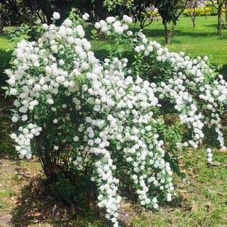 دورهمی حضوری تهران