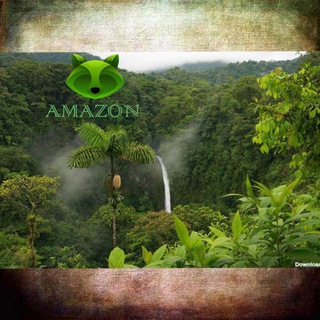 🌴🇦‌🇲‌🇦‌🇿‌🇴‌🇳‌🌴