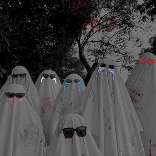 𝑸𝒐𝒎.𝑪𝒐𝒎